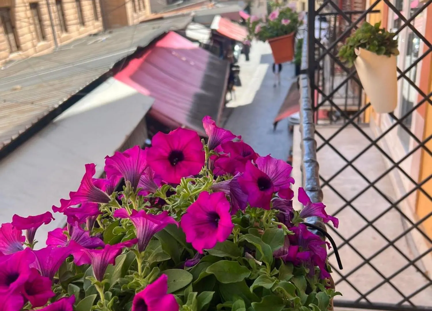 Sant'Agostino Boutique Rooms Palermo